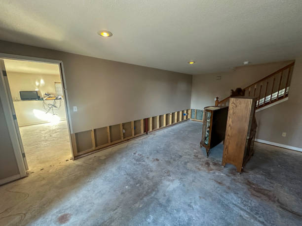 Basement interior with affected drywall removed to the moisture line, ready for rebuild
